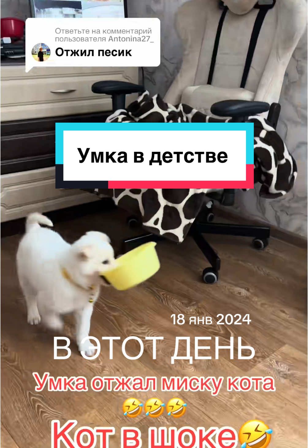 Умка маленький просто энержайзер 🤣🤣🤣#умка#детство#щенок#котвшоке