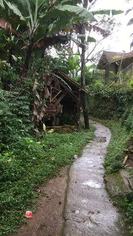 suasana rumah di pedesaan view pesawahan saat gerimis hujan🥰🌿🌾#sukabumi #sukabumijawabarat #lagusunda #lembursunda 