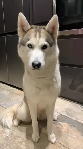 🐩🐾🥰