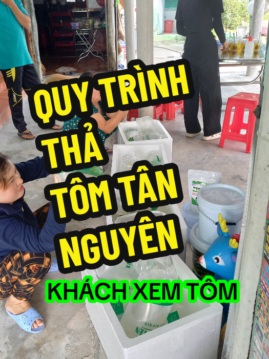 Được tận mắt nhìn thấy quy trình thả tôm tân nguyên #tômgiốngtânnguyên  #baclieu  #suchando 