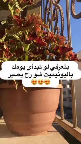بتعرفي لو بلشتي توخدي يونيميت الصبح بداية نهارك شو راح يصير واستبدلتيه من المنبهات هاد التغير راح يكون #feel_great #مقاومة_الأنسولين #الشعب_الصيني_ماله_حل😂😂 #رانيا_ابو_عوض #قطر #العراق #الإمارات #مصر #تركيا #الكويت #الدينمارك #الدينمارك #المانيا_برلين #النمسا_للعرب #اكسبلورexplore #فلسطين🇵🇸 #السويد #بلجيكيا #الجزائر #الاردن #كندا 