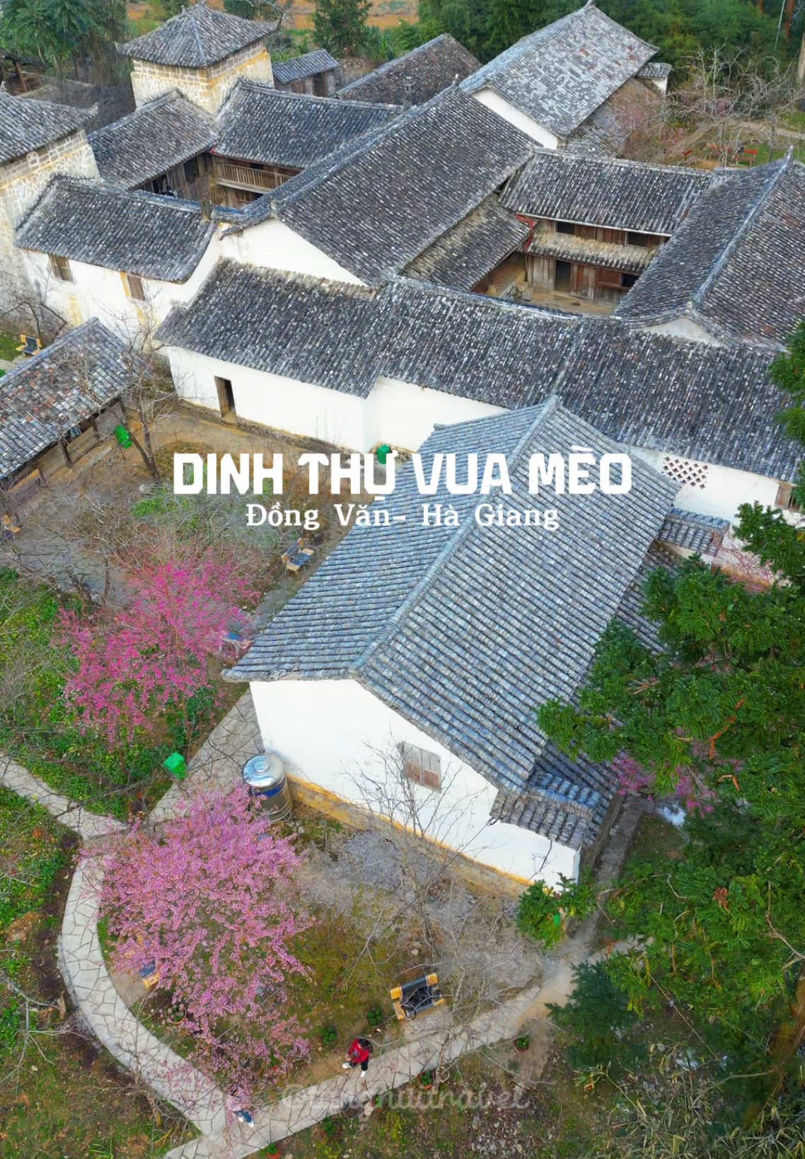 Dinh Thự Vua Mèo một điểm đến với kiến trúc ấn tượng nên đi khi tới Hà Giang #travel #traveltiktok #dulichvietnam #travelvietnam #hagiang 