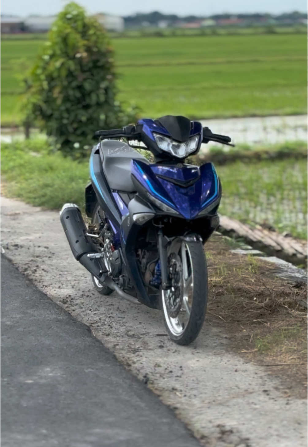 #stelanplatsjombang #danapelajar #danapelajar #danapelajarjombang #yamaha #mxking #yamahamxking #mxking150 #yamahamxking150 #mxkingsolostyle #mxkingsoloraya #mxkingsolorayastyle #mxkingmalaysiastyle #mxkingmalaystyle #mxkingmalaysia #mxkingmalaysiastyle #mxkingindonesia #mxkingindonesiastyle #mxkingindonesia #y15 #y15zr #y15zrmalaysia #y15zrindonesia #y15zrindonesia #sad #sadstory #sadvibes #sadvibes #jombang #jombangtiktok #jombanghits #fyp#fypviral #fypage #fouryoupage #fouryourpage#xyzbcaa #cv_sekar_jati_jmbg #fakesituation !#ipueell4d56 #CapCut #jjcapcut #ipuell🚀🔥😈 #mxipuell🚀🔥😈#2pv