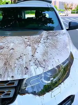 This truck microfiber drying towl is incredible! 🤍 #dryingtowel#cardetailing#carcleaning#carwash#carcare#towel#microfibertowel