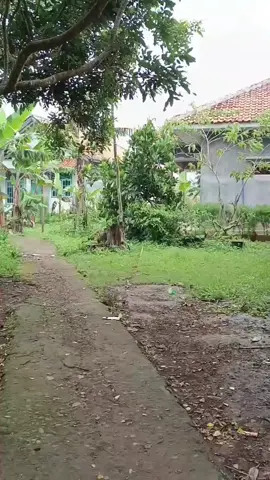 pada ngga berani ngambil..  #komedi #trending #fyp #vira 