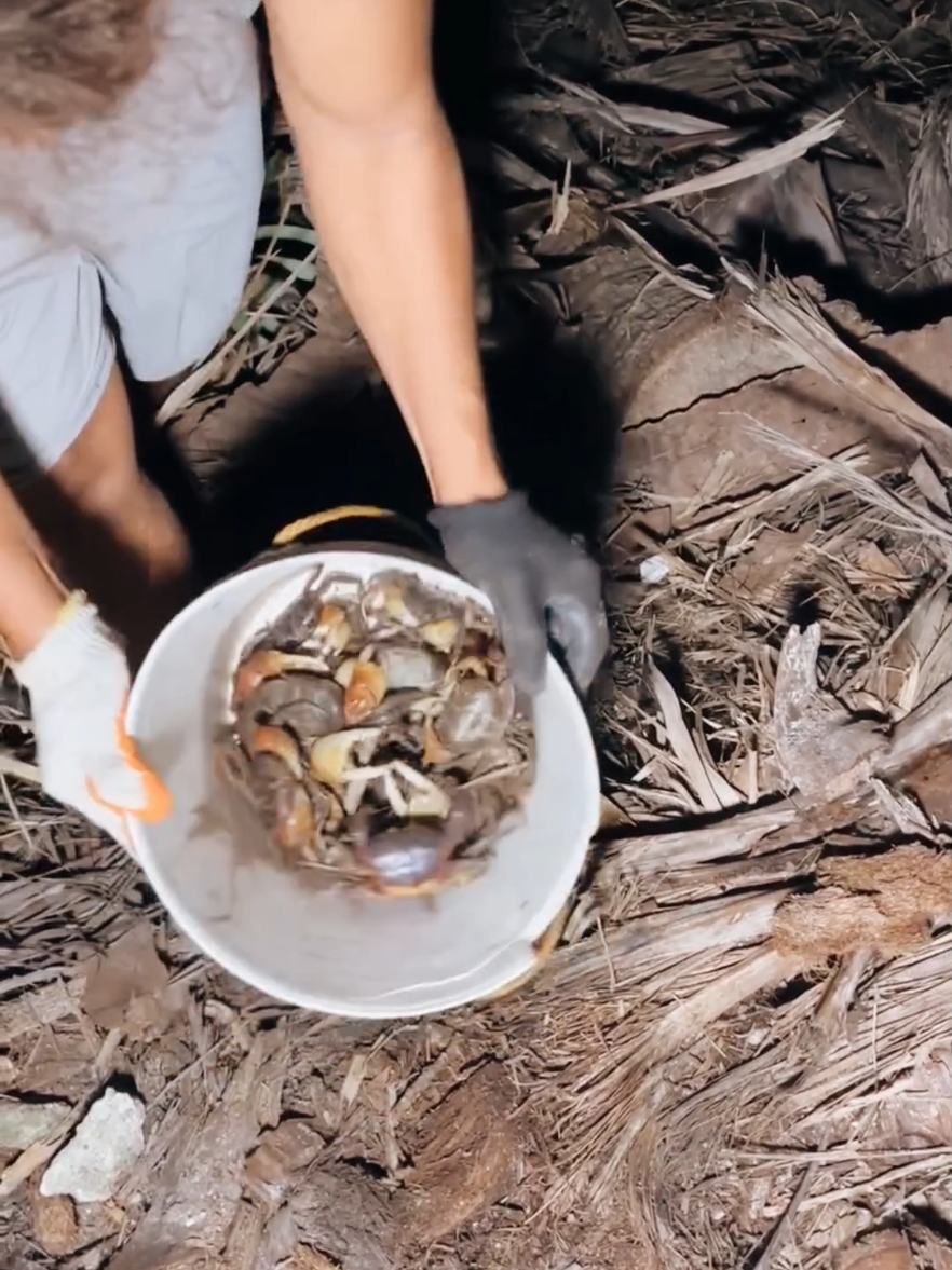 #fyp #satisfying #harvest #fishing #fyp#fishtrapping #fishhunting#life#fishingvideo#funny#bigfish#unique_fishing #fish_hunting🐟🐟🐟 #fishing_videos_🐠🐟🖤 
