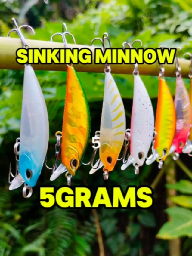 5GRAMS Lure para sa lahat ng ISDA. #fishinglure #lures #sinkingminnow #shorecasting #fishing #fishingsupplies 