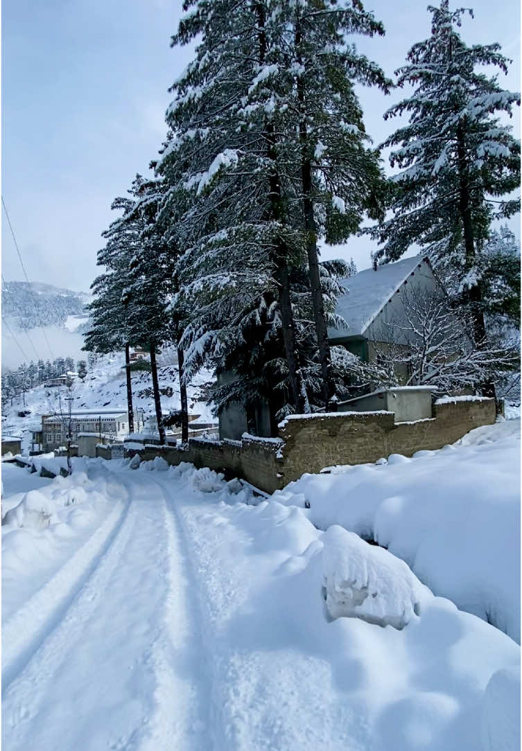 Amazing Beauty Of Gaheel Kalam Swat Valley In Winter ❄️ . #trending #foryou #F #pakistan #viralvideos #snowfall #discoverswat #swatvalley @Discover Swat @LeGrand Resorts Kalam @🎀 𝒜𝓈𝒽𝓇𝒶𝒻 𝓀𝒽𝒶𝓃 🎀 