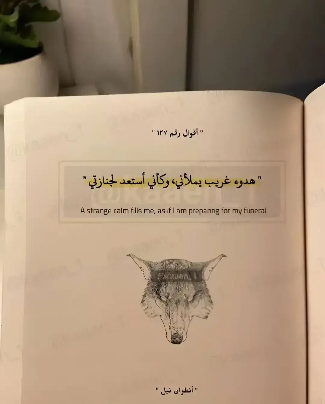 #خواطر_من_الماضي #❤️ #pfyyyyyyyyyyyyyyyyyyyyyyyyyyyyyyyy #fypシ゚ #fy #كيف_انساك #ستوريات_حب #حب #عبدالرحمن_محمد #خواطر_من_الماضي #حلات_واتس #خربشات_كسر #خربشات #خريف🌒 #الدحيح #اقتباسات_عبارات_خواطر🖤🦋🥀 #للعقول_الراقية_فقط🤚🏻💙 #bbbbbbbbbbbbbbbbbbbbbbbbbb 