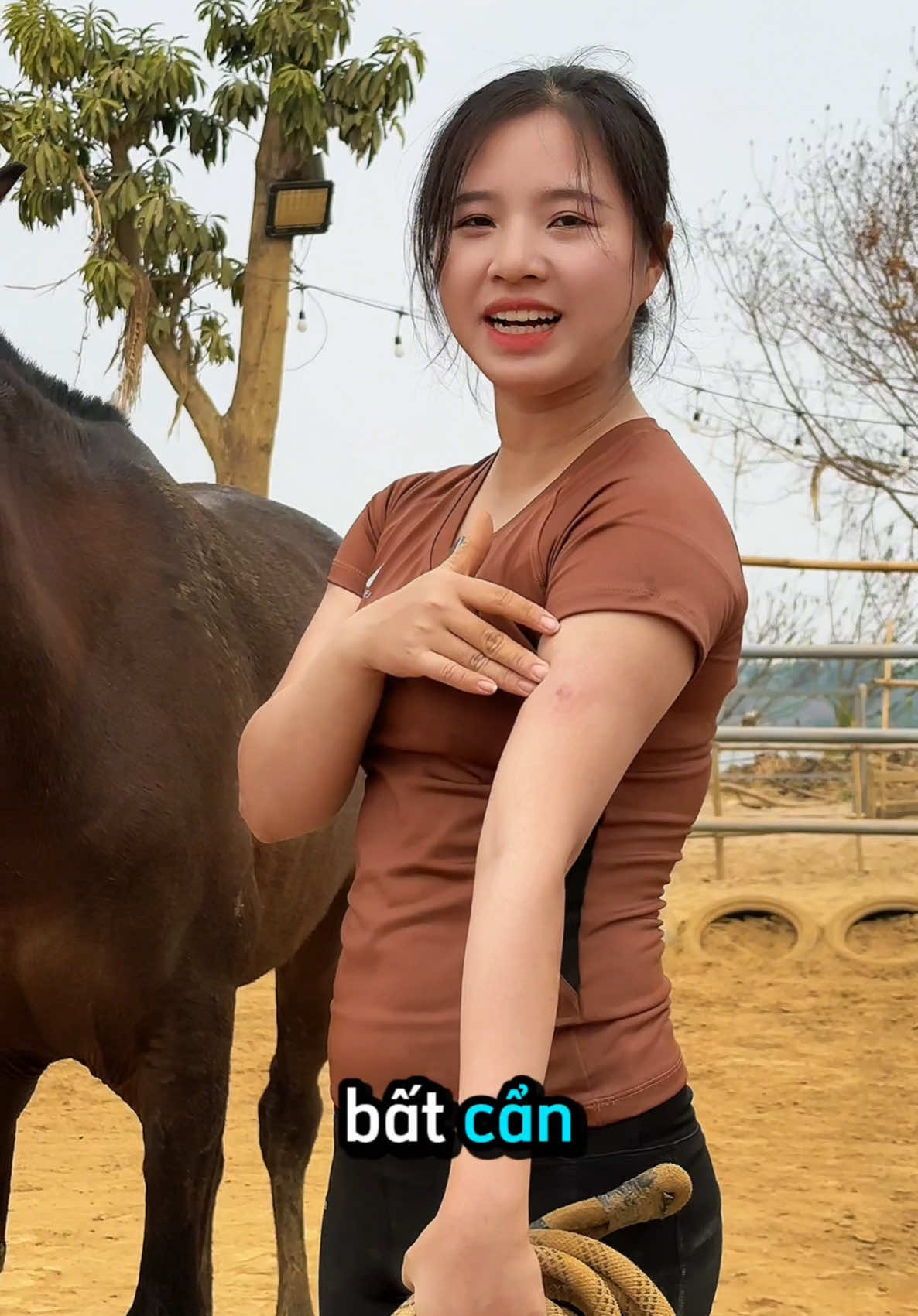 Huấn luyện bạn ngựa nâu cho 1 anh trai đón Tết #clbkyxavn #girls #equestrian #horsegirl #horseriding #horse #horsebackarchery 