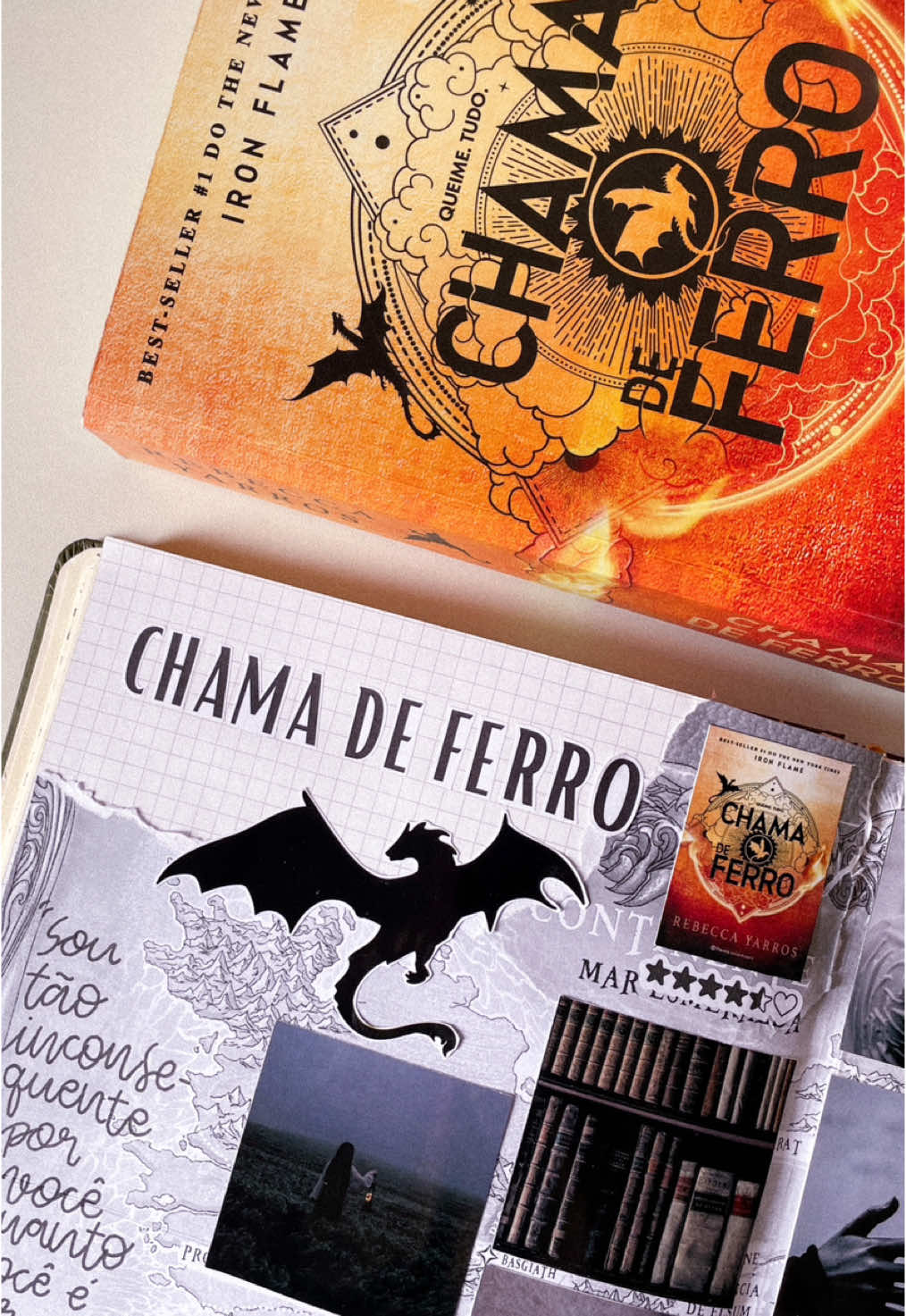 Chama de ferro (+18) #quartaasa #fourthwing #cadernodeleitura #readingjournal #resenhaliteraria #indicacaodelivros #BookTok #livrostiktok 