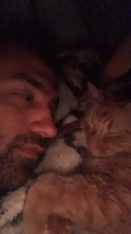 Good night TikTok