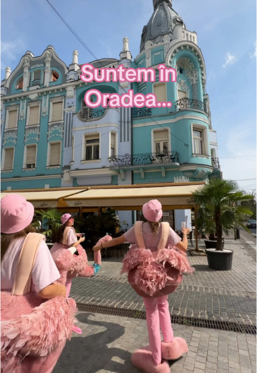 Vouă ce v-a plăcut cel mai mult în Oradea? 🧐 #365deziledevara #LaVidaEnRose #flamingointurulromaniei #oradea #beciuldomnesc #roseverite #funny #romania 