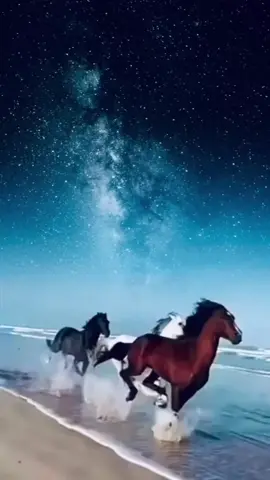 #CapCut  Everybody Wants To Rule The World by Tears For Fears #horsesrunningatlibertyonthebeach #horsevideo #beautifulhorses #horses❤️ #cptnkvatch 