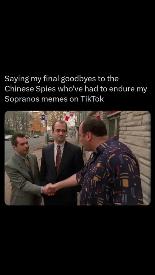 I heard they became fans and started watching #sopranos #fyp #tiktok #banned #spy 