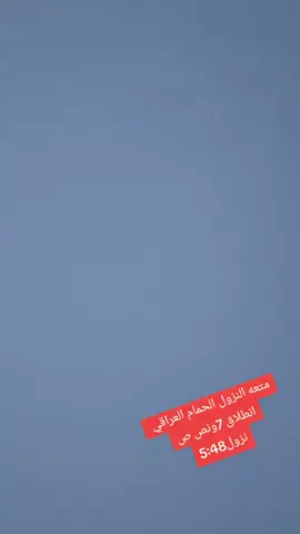 #التار #العراقي #الاصيل #طيور #السماوه #الكاسر 