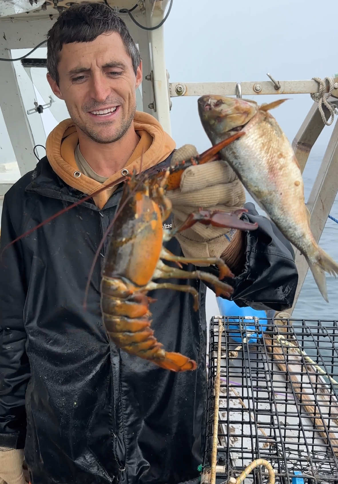 Replying to @grammierudy Still hoping for the hail mary, but if we lose tik tok I hope to see you guys over on the longform platform. I’ll also be on any of the popular shortform platforms. Thanks again, see you soon!! 🦞 #maine #lobster #fishing #barnacle #asmr #satasfying 