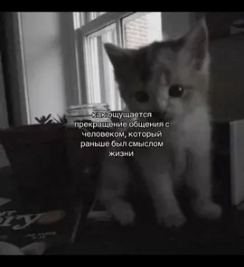 и такое бывает.. #щитпосты #щп #бывшаяподруга #прошлое 