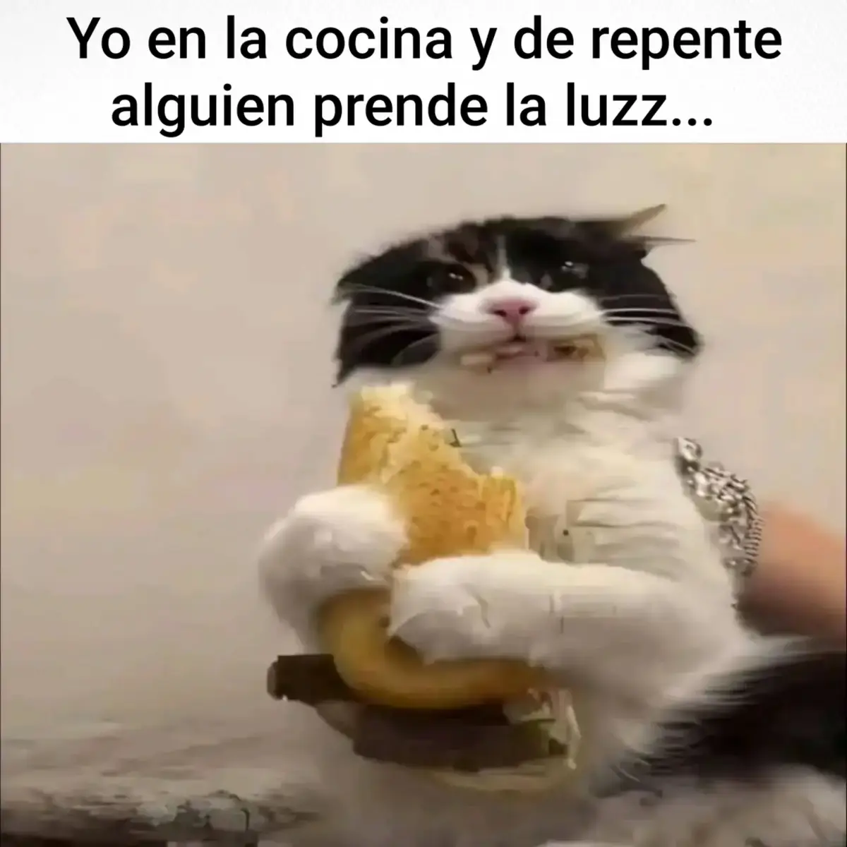 Uno ya no puede comer en paz..