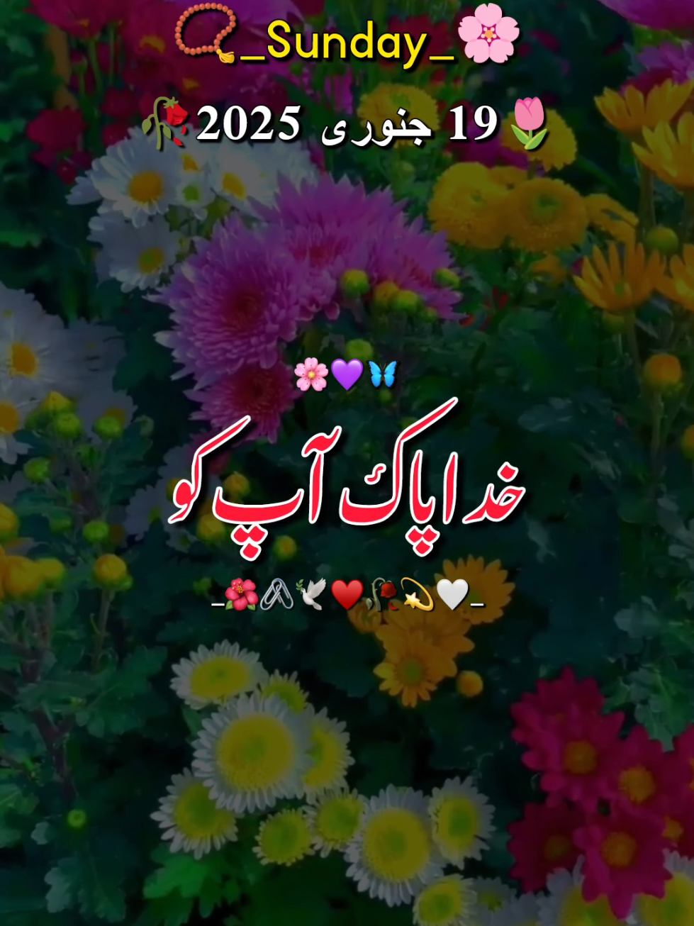 اتوار کا دن مبارک ہو 🥰♥️💯#me #viewsproblem #illu #viral #viralvideo #fyp #foryou #foryoupage #foryoupageofficiall #lovepoetry #urdupoetry #sadpoetry #status #whatsappstatus #lovepoetry #growaccount 