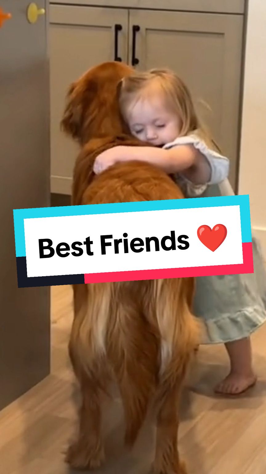They are best friends 🥰 #baby #babytok #babiesoftiktok #babytiktok #toddler #toddlersoftiktok #dog #dogsoftiktok #BestFriends #cute #adorable #Love #fyp #foryoupage #fyp 