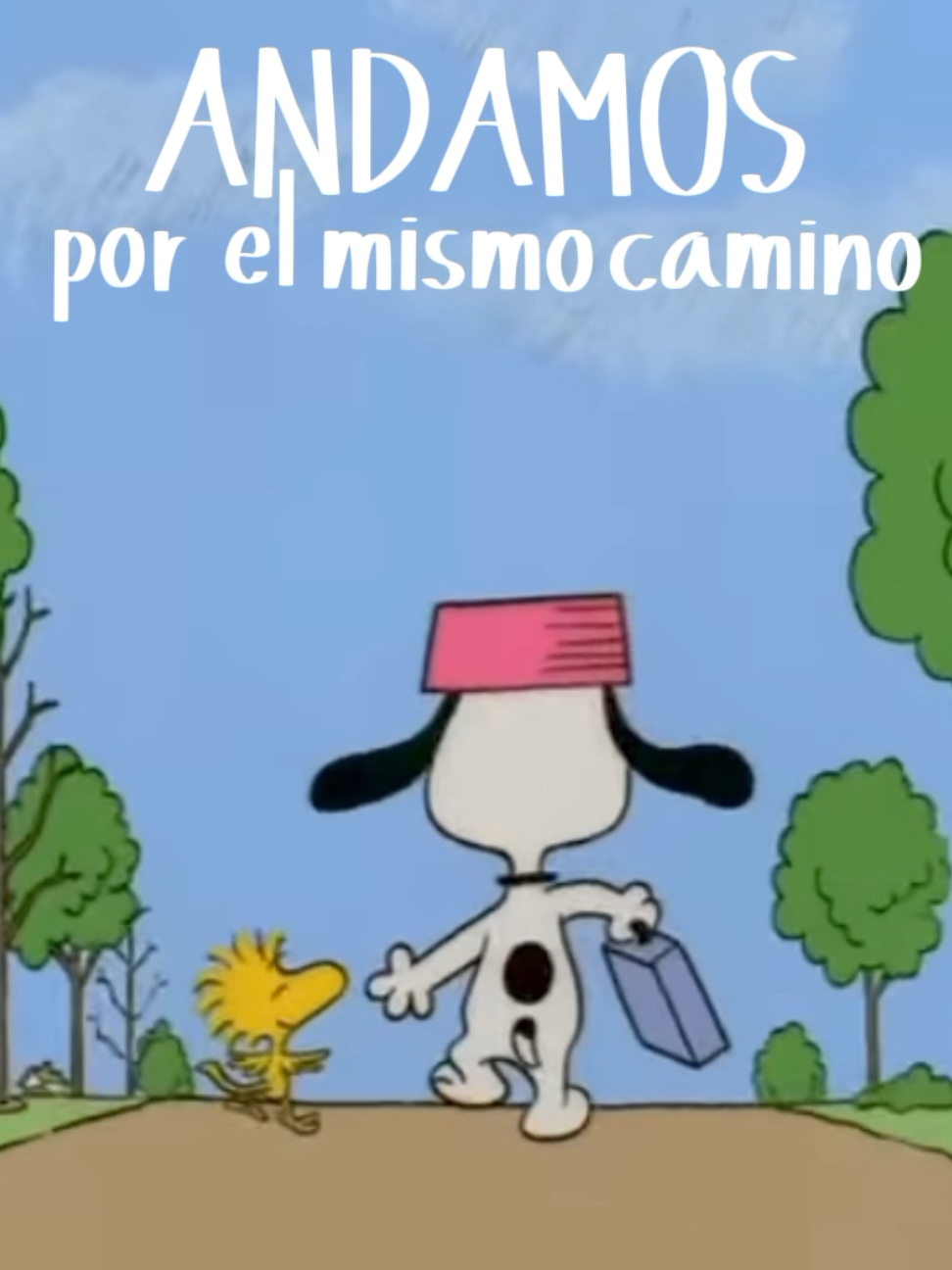 Joga bonito - Sabino #snoopy #sabino #lyric #fyp @brocito_menor 