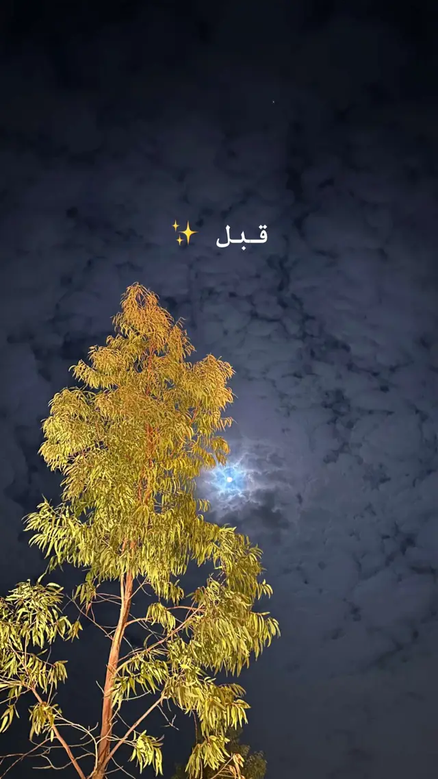 #تصاميم_صلوح🧑‍🦯 #تصويري 