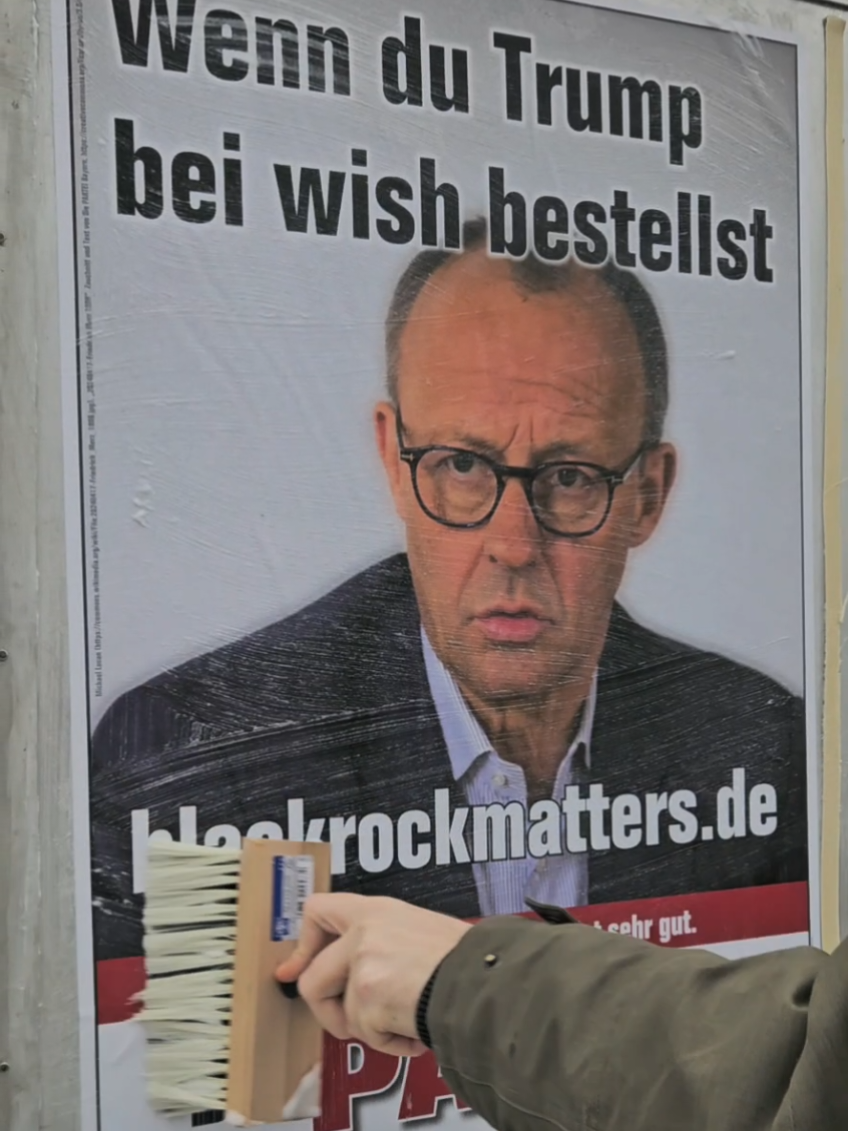 Ihr wollt Plakate, ihr kriegt Plakate! blackrockmatters  @DiePARTEI @Martin Sonneborn #diepartei #btw2025 #Wahlkrieg 