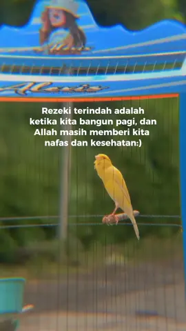 #CapCut  Bangun pagi #fyp #xybca #kicaumania #kenarimaniaindonesia #quotes #motivasihidup #pagi 