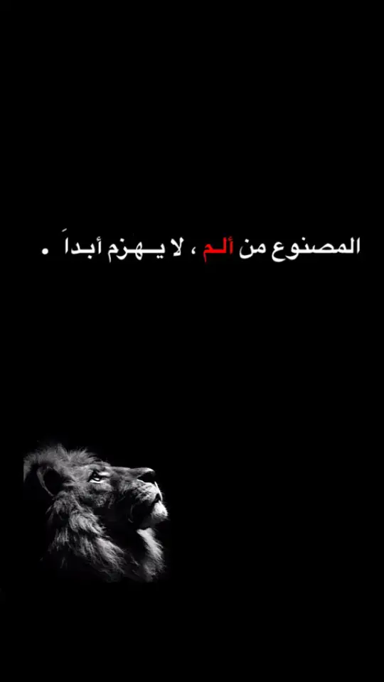 #ليبيا❤️‍🔥 #العجيلات_صبراته_طرابلس_ليبيا_تونس #ميدو_شماكه🦅 