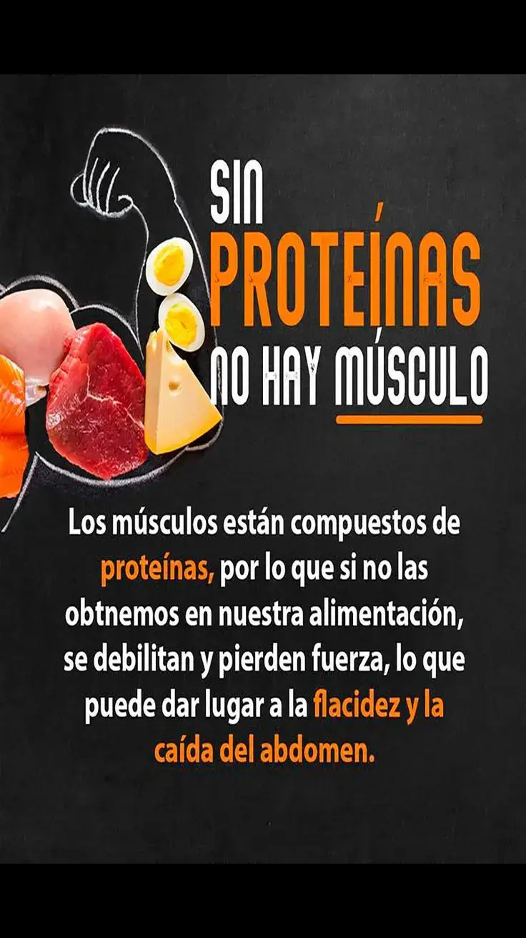 la importancia de las proteínas para construir músculos. #fyppppppppppppppppppppppp #proteinas #musculos #dieta #rutinasgym #gym