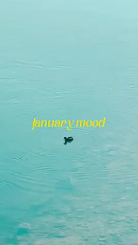 Life in Korea January vibes #calm #Vlog #aesthetic #wintervibes #korea 