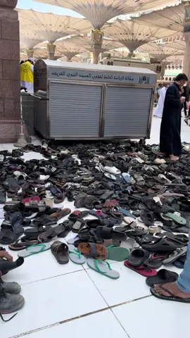 Akibat Meletakkan Sandal Bukan Pada Tempatnya 😅 Masjid Nabawi #sandal  #nabawimosque 