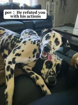 The dog understands what you said#usa_tiktok #fouryou #PetsOfTikTok #puppy #pet #funnyvideo #dogsoftiktok #