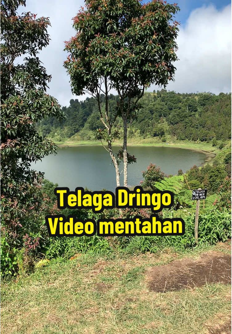 Mentahan buat fake story. #telagadringo #batang #banjarnegara #pekasiran #dieng #wonosobo 