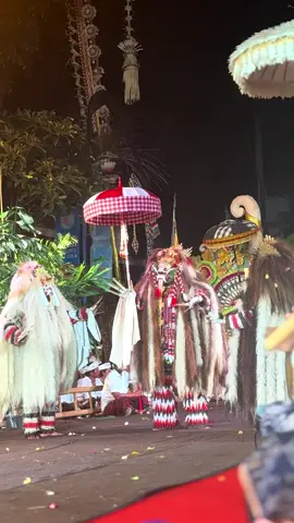 Sesuhunan Puri Ibah lan Puri Saren Kauh Ubud sampun tedun napak pertiwi ring Catus Pata Desa Adat Ubud warsa 2024 sane sampun kemargiang. #calonarang