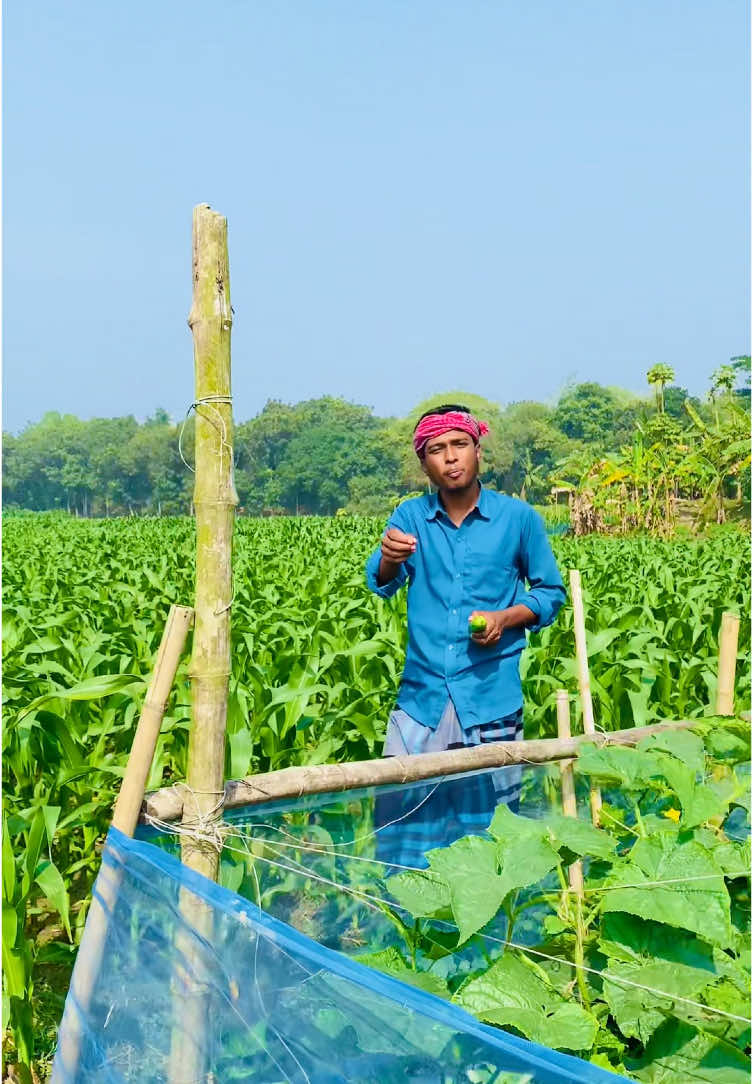 নারী ছোট কাপর পরে চলাচল করলে তো ধরসনের শিকার হবেই#viral #fyp #foryou 