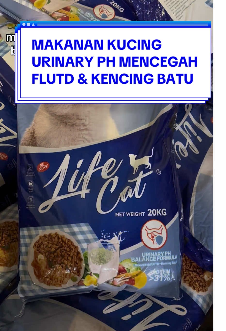 Makanan kucing urinary PH bisa untuk kitten hingga dewasa ya, mencegah bahayanya flutd dan kencing batu ❤️ #fyp #lifecat #makanankucing #petfood #makanankering 