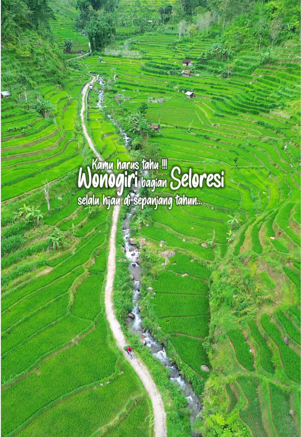 Kawasan Seloresi ini selalu hijau di sepanjang tahun… #wonogiri #wonogiri24jam #seloresi #sawah #ubud #fypシ゚ 