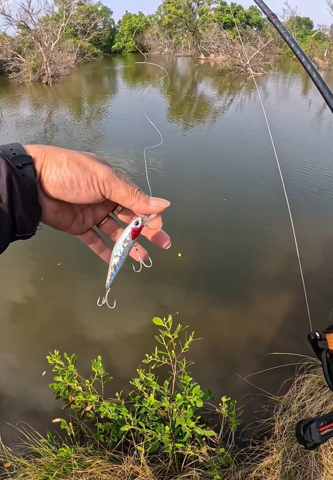 Rẽ mà action chuẩn chỉ #megabarra #hiepfishingtv #rfish #lurecachem #cachem #travinh 