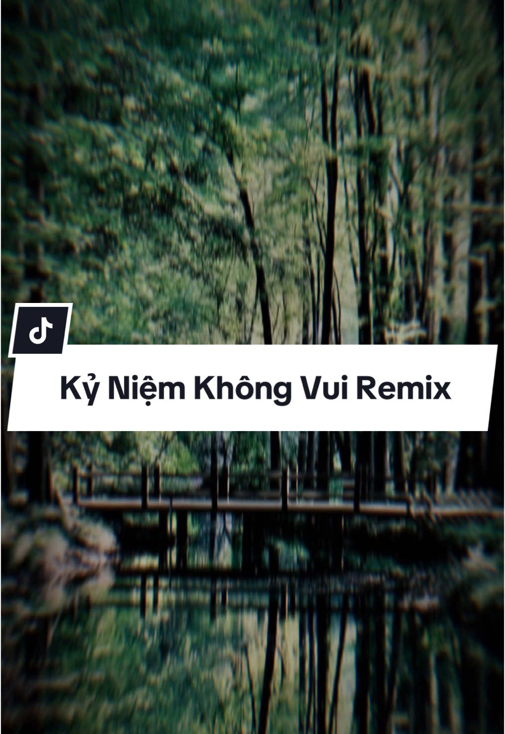 Kỷ Niệm Không Vui Remix#CapCut #bachtuong #bachtuong205 