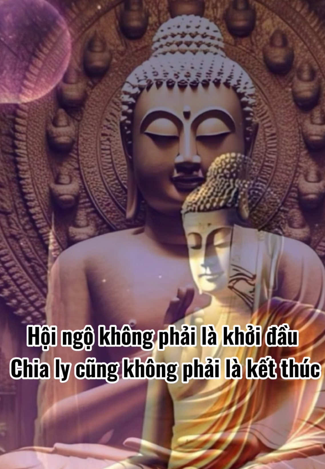 8 cảnh giới sau khi giác ngộ, bạn đạt được mấy điều ?     #nammobonsuthichcamauniphat #nammoadidaphat #daophattrongtraitimtoi #thanhdiep 