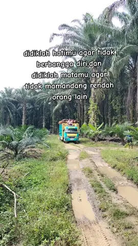 driver orang tua 🤣#fypシ゚viral #sawitbalapriau_ #fypシ #lahansawit #fyp #sawit #sawitriau #fyp #sawitbalapriau #sawitbalap 