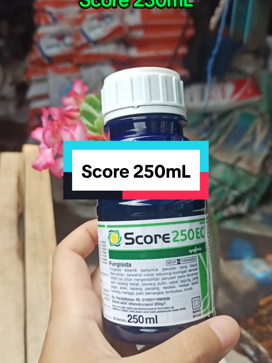 Score 250mL. Fungisida ampuh dari syngenta, membantu menjaga tanaman dari serangan fungi, serta meningkatkan tanaman pada fase pembungaan. 👍🏻 #syngenta #fungisida #score #score250ml #ampuh #fungi #jamur #bunga #populer #relevan #fyp #fypシ゚ #fypツviral 