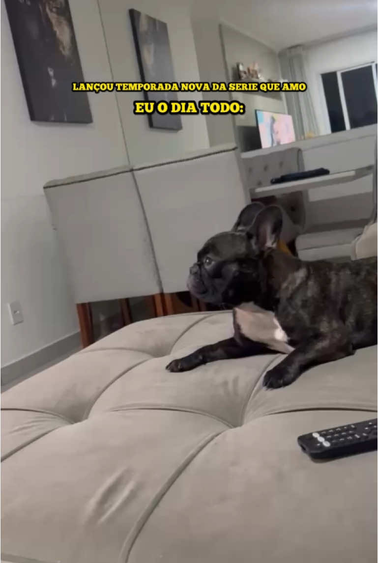 Um cachorro feliz feliz feliz #cachorrofeliz #buldoguefrances #pets #viral_video 