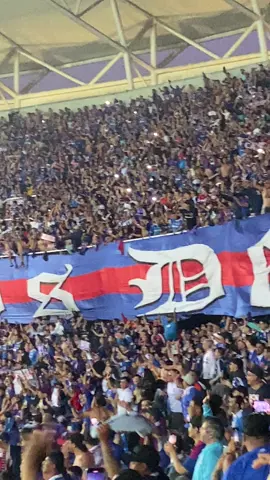 El bulla va caminando para pedreros🦉🤘🏻#losdeabajo #udechile 
