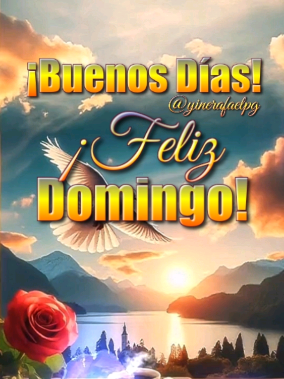 Buenos Días! Feliz Domingo! #frases #bonitas #parati #dios #bendiciones #fyp #buenosdias #felizdia 