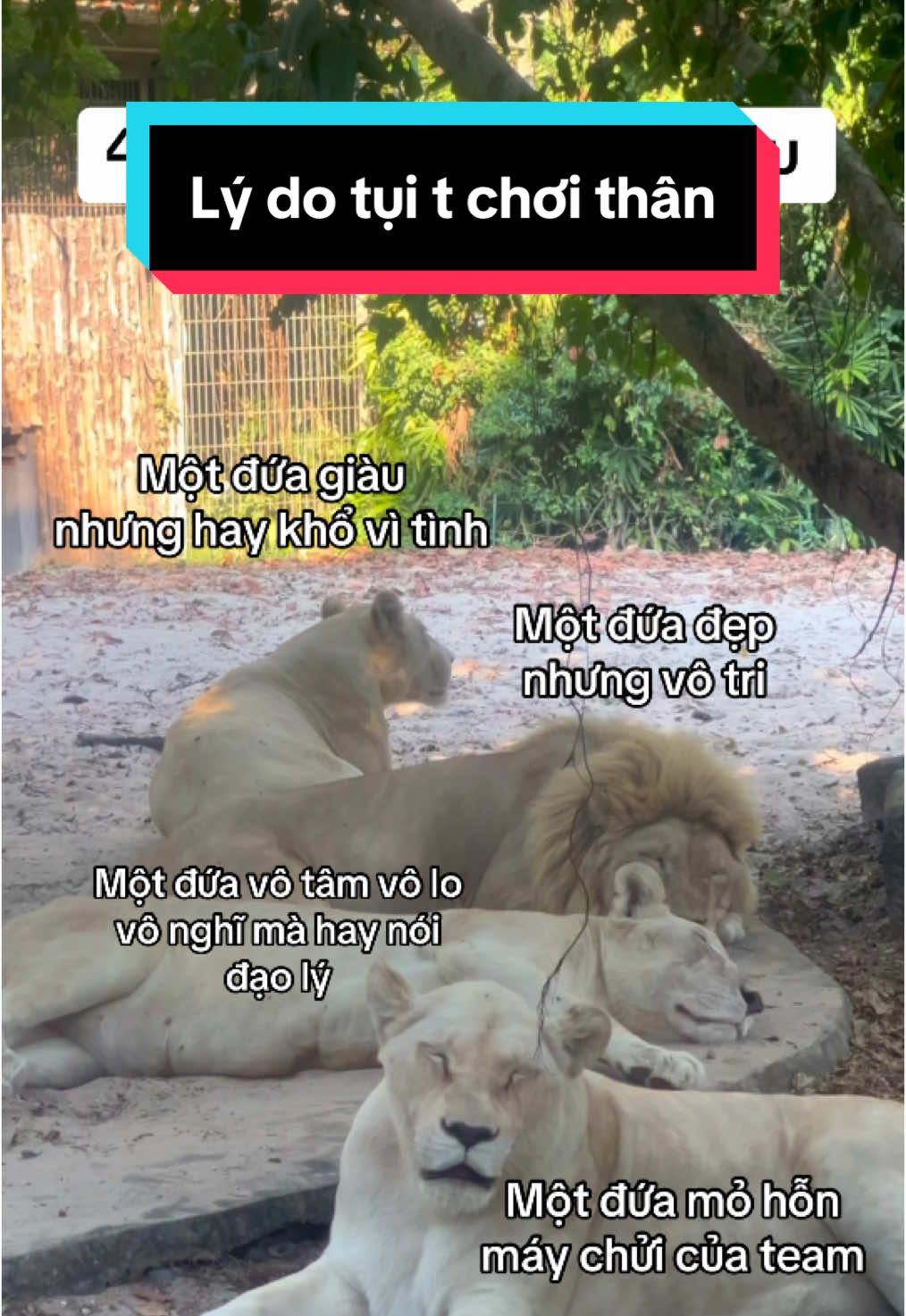 Điểm chung là nghiệp tụ vành môi #VinWondersPhuQuoc #Vcreator #SafariPhuQuoc #GrandWorldPhuQuoc #wakeupfestival #safari #animals #dulichphuquoc 