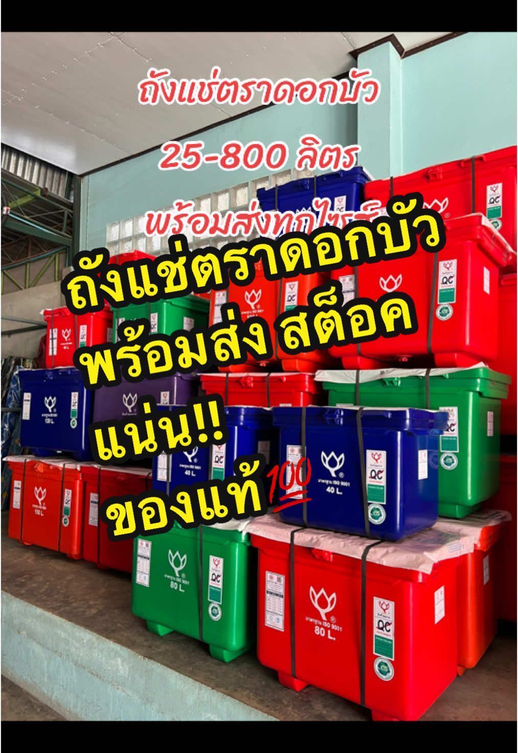 ถังแช่ตราดอกบัว 🪷 ขนาด 25 ลิตร - 800 ลิตร มีของพร้อมส่ง 🚛 สอบถามได้นะคะ #ถังแช่ #ถังแช่น้ําแข็ง #ตราดอกบัว #ถังแช่น้ําแข็งจอร์ตลาดทุ่งนา  #หนองฉาง #อุทัยธานี #เปิดการมองเห็น #ตลาดทุ่งนา  #เฟอร์นิเจอร์อุทัยธานี #สินค้าขายดี  #ขึ้นฟีดเถอะ #ของใช้ภายในบ้าน 