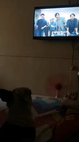 Srap buhay, panood nood lng s netflix c small.. movie marathon ng sunday ang peg.. 🤣😅 @small_09035 #doglovers #dogsoftiktok #small #dog #squidgame #netflix 